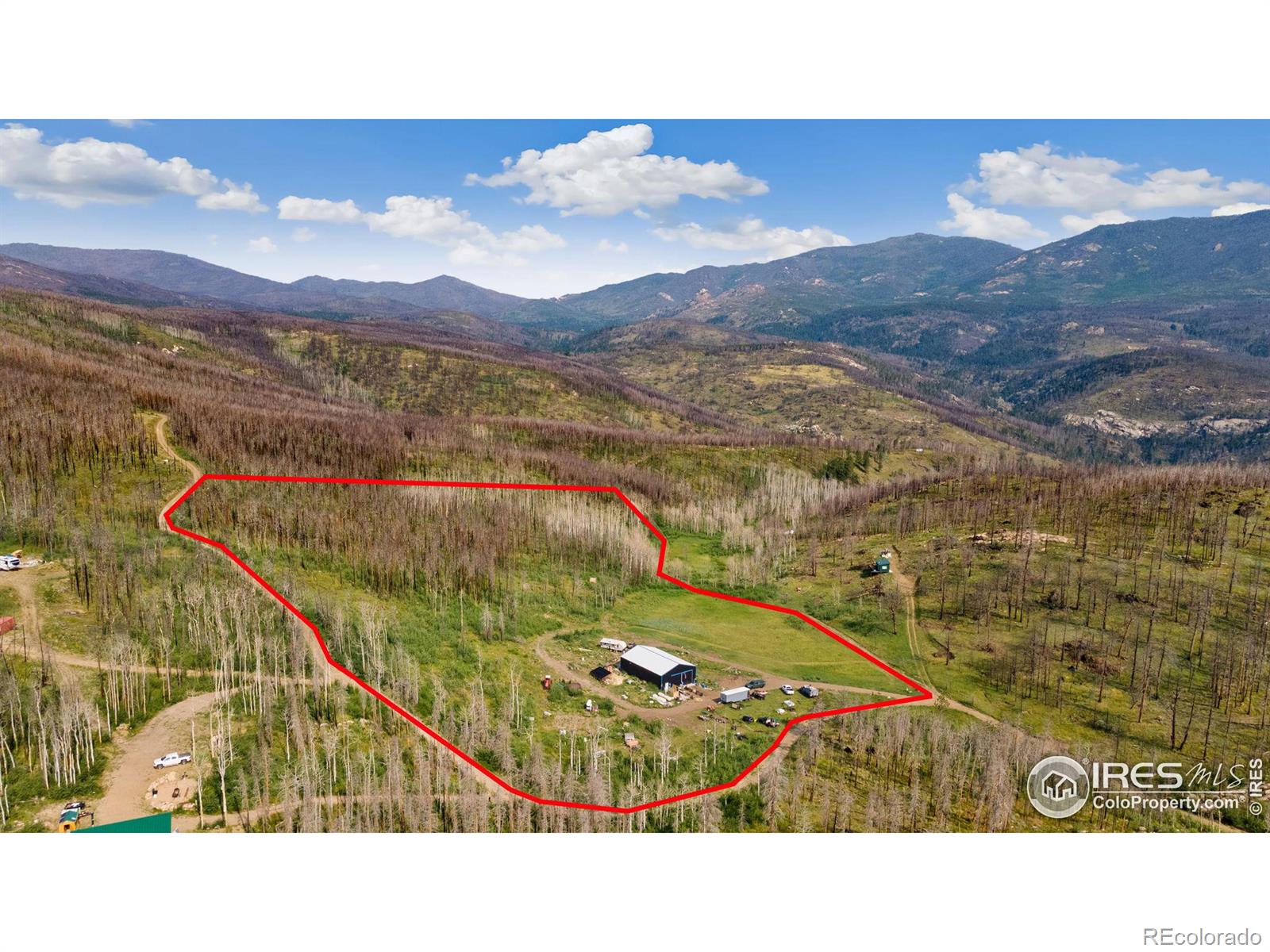 1081 Deer Horn Trl, Bellvue, CO 80512