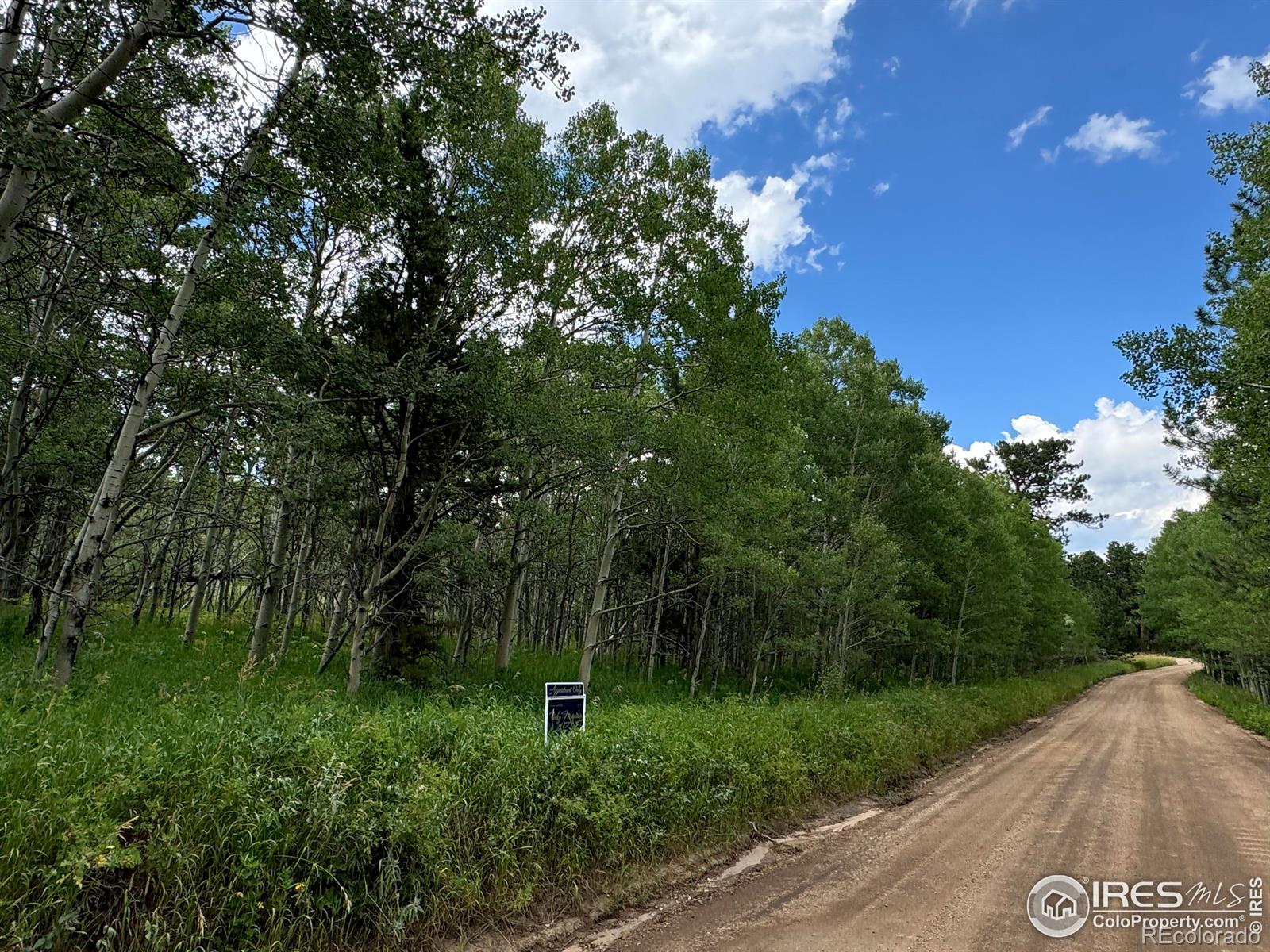928 Ski Rd, Allenspark, CO 80510
