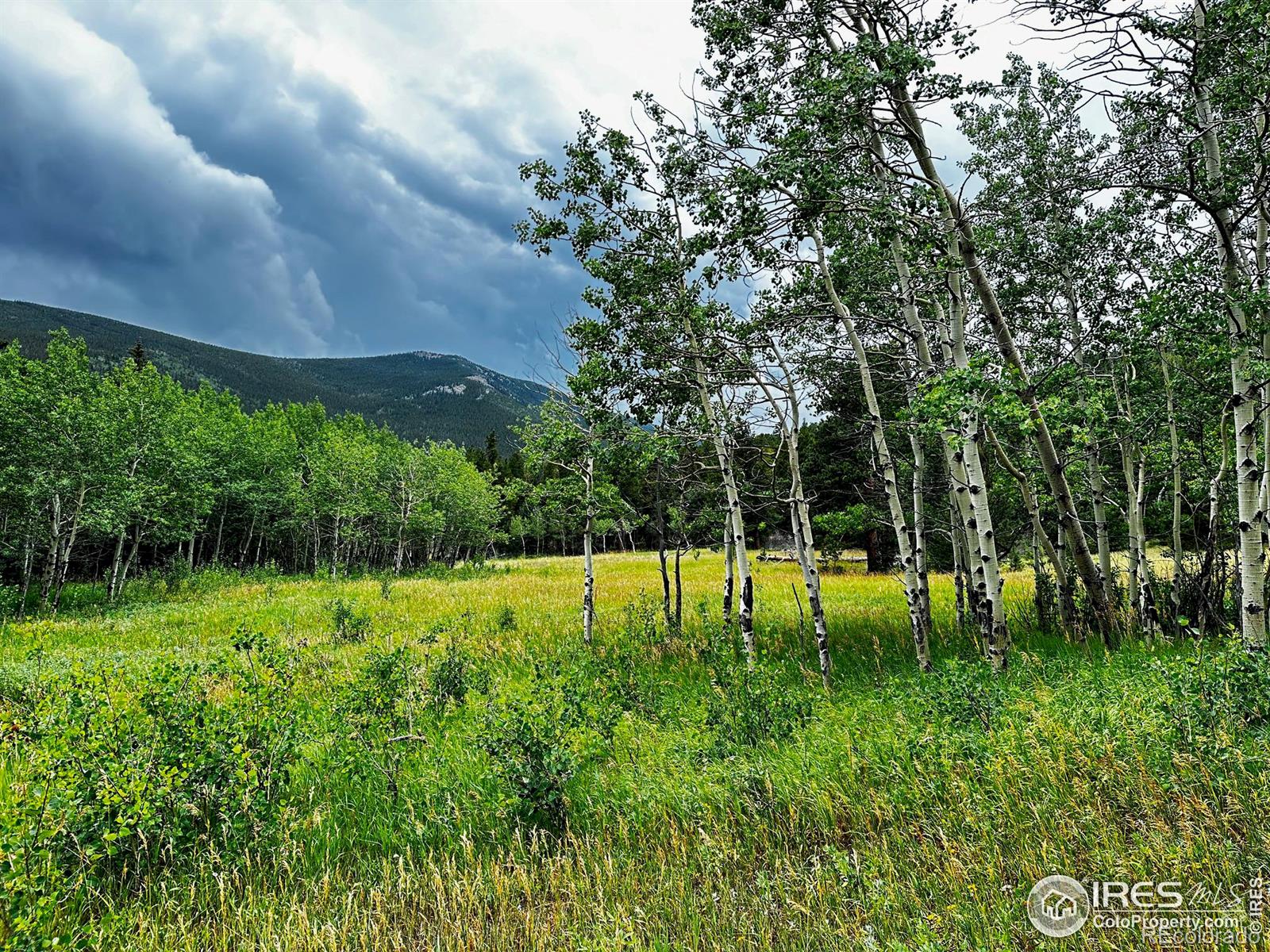 928 Ski Rd, Allenspark, CO 80510