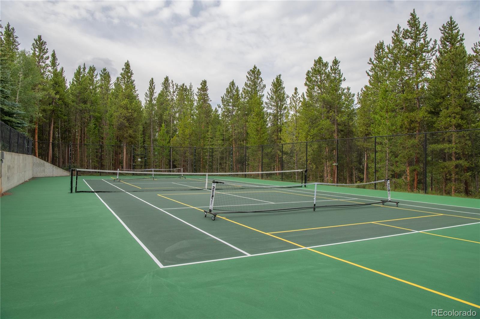48 Saxifrage Rd, Keystone, CO 80435