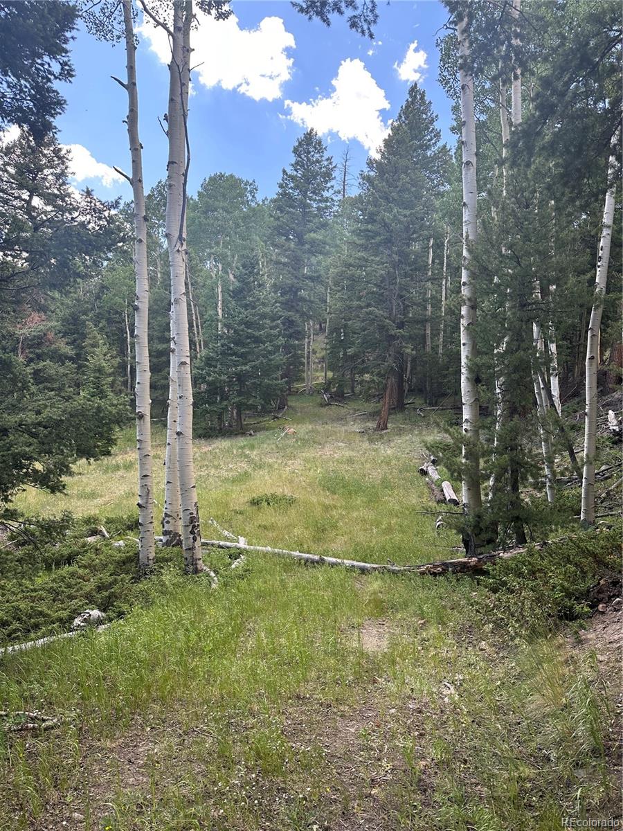 Calkins St, Jasper, CO 81132