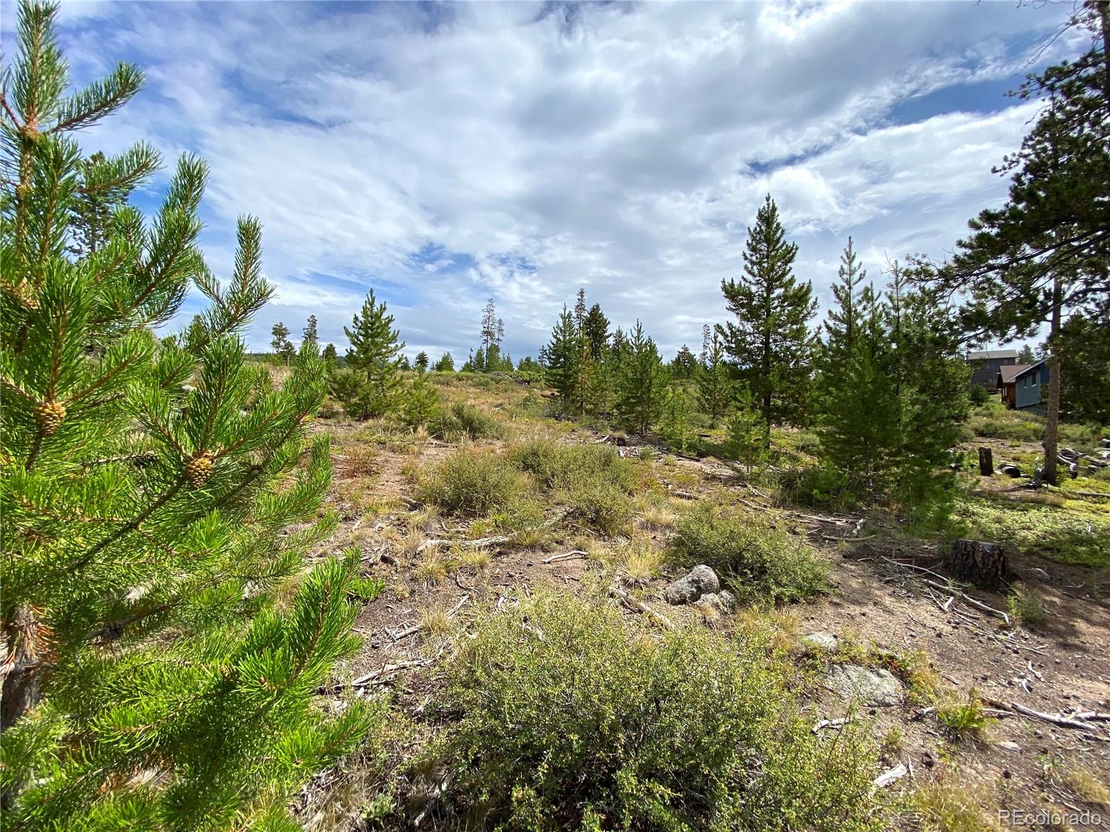 341 Gcr 876/alpine Dr, Tabernash, CO 80478