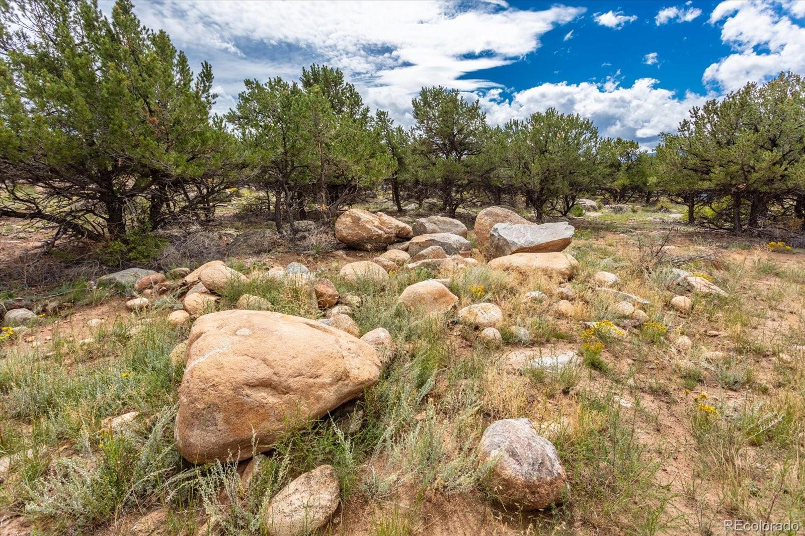 30224 N Us Highway 24, Buena Vista, CO 81211