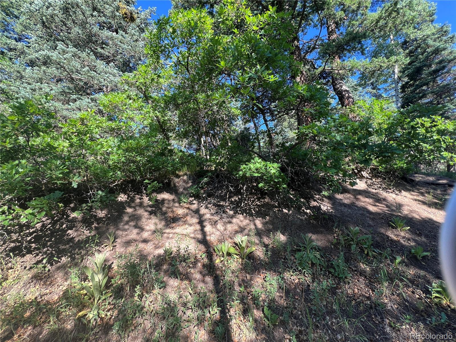 Lot 7 Wonder Trl, Rye, CO 81069