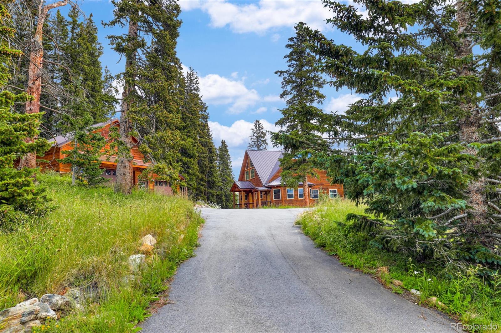 62 Lazy Rex Rd, Alma, CO 80420