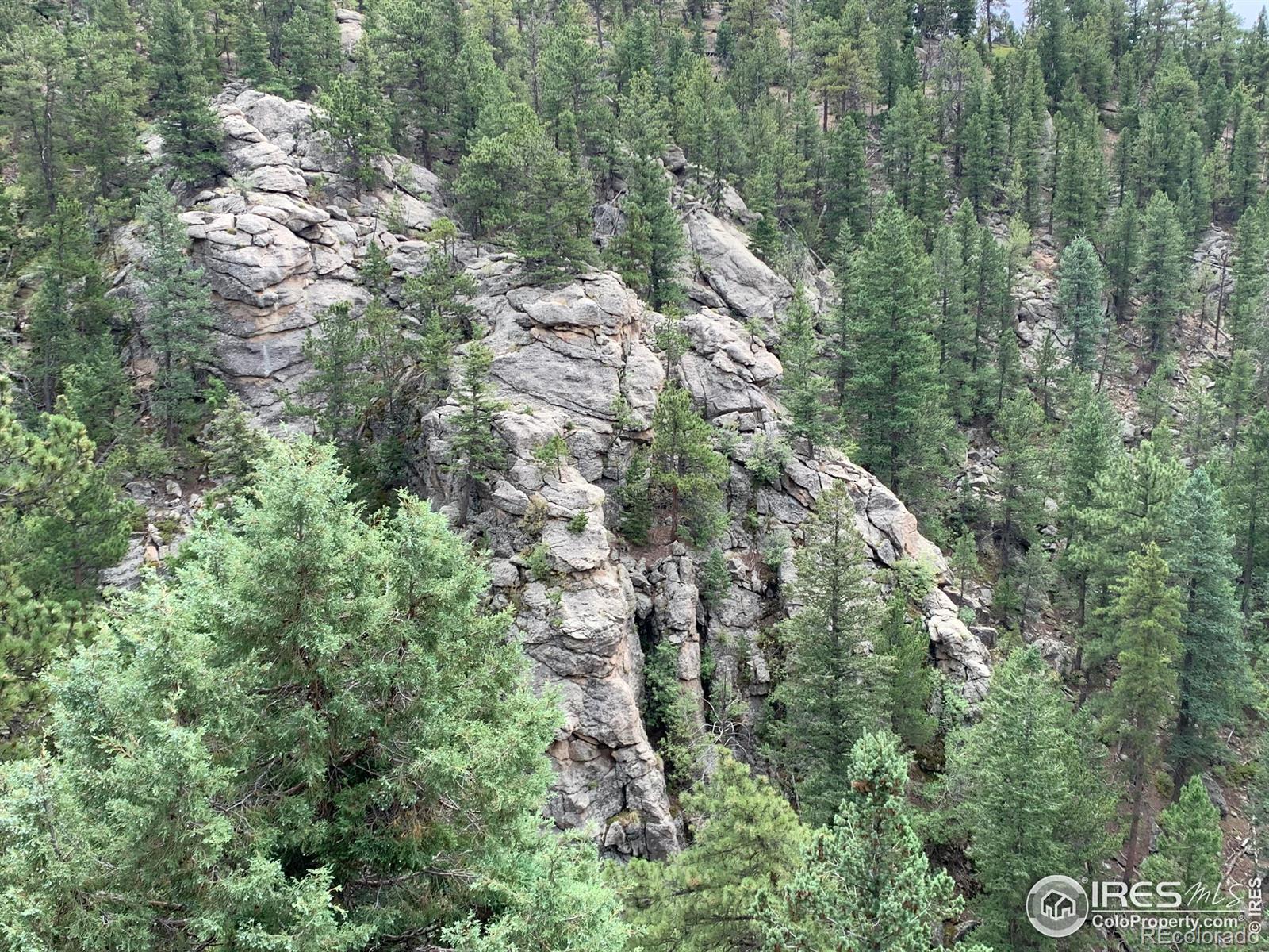 875 Pine Tree Dr, Estes Park, CO 80517