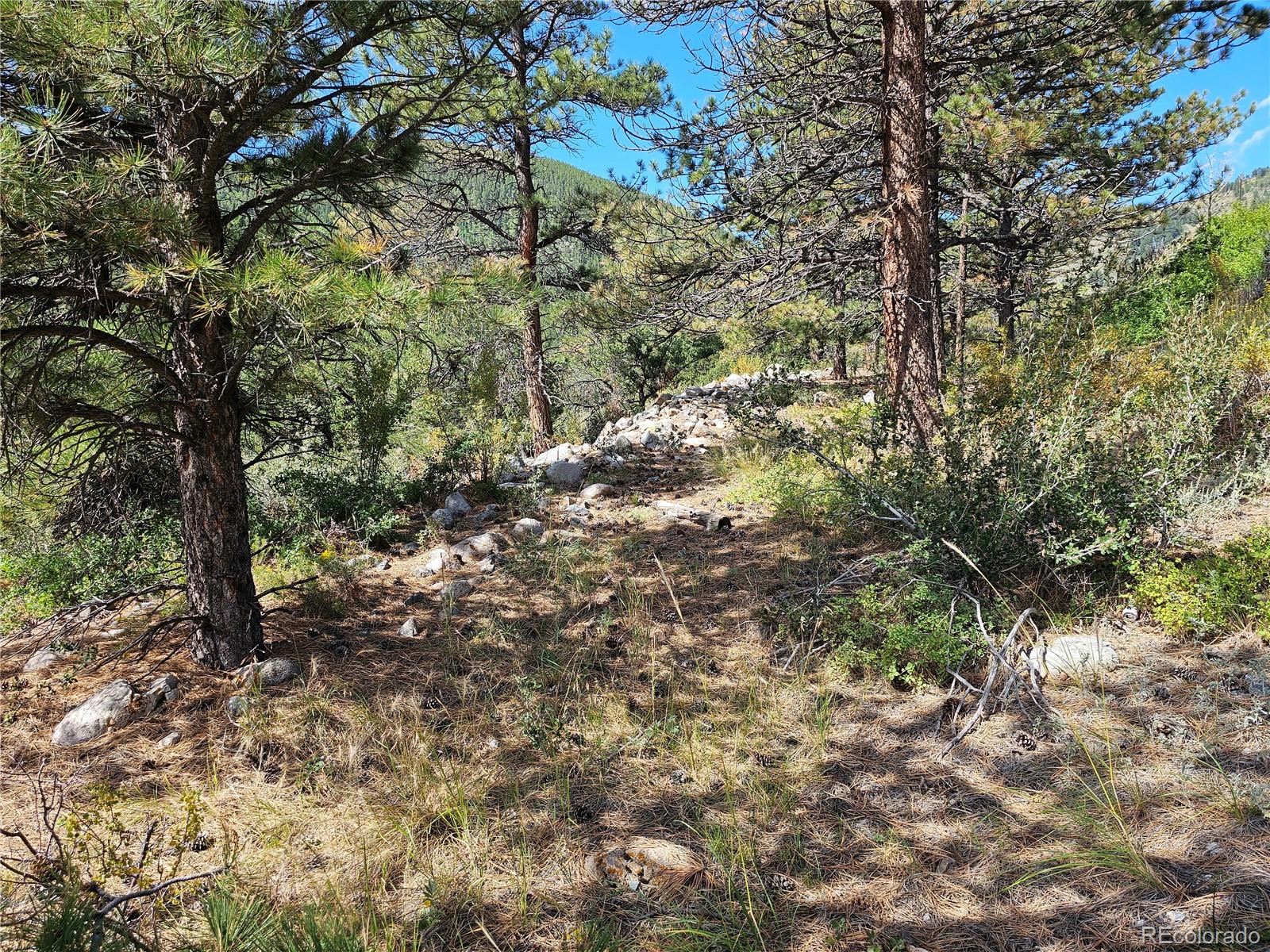 19039 Monarch River Dr Lot 1 Phase II, Salida, CO 81201