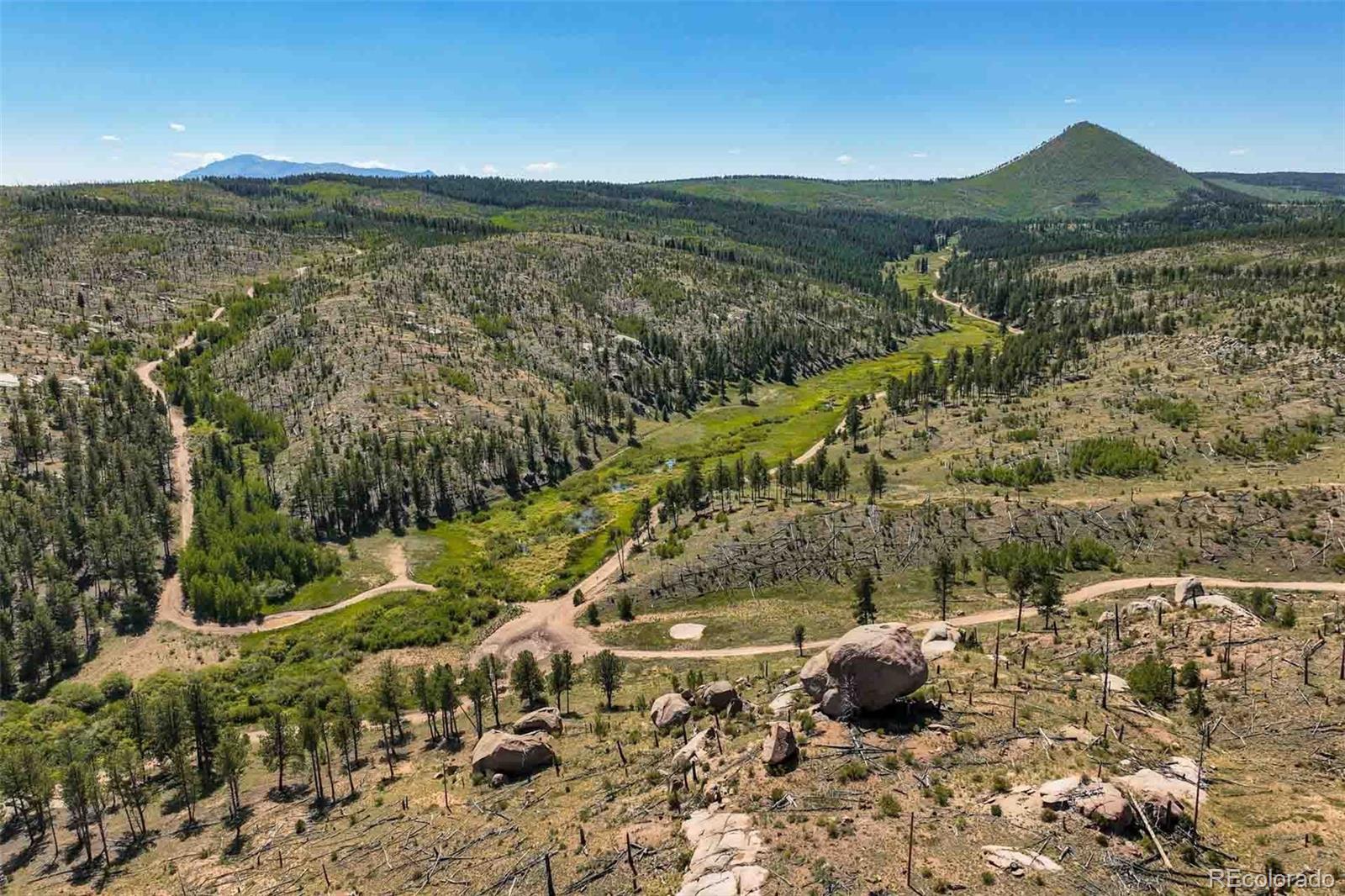 11068 Trail Creek Rd, Divide, CO 80814
