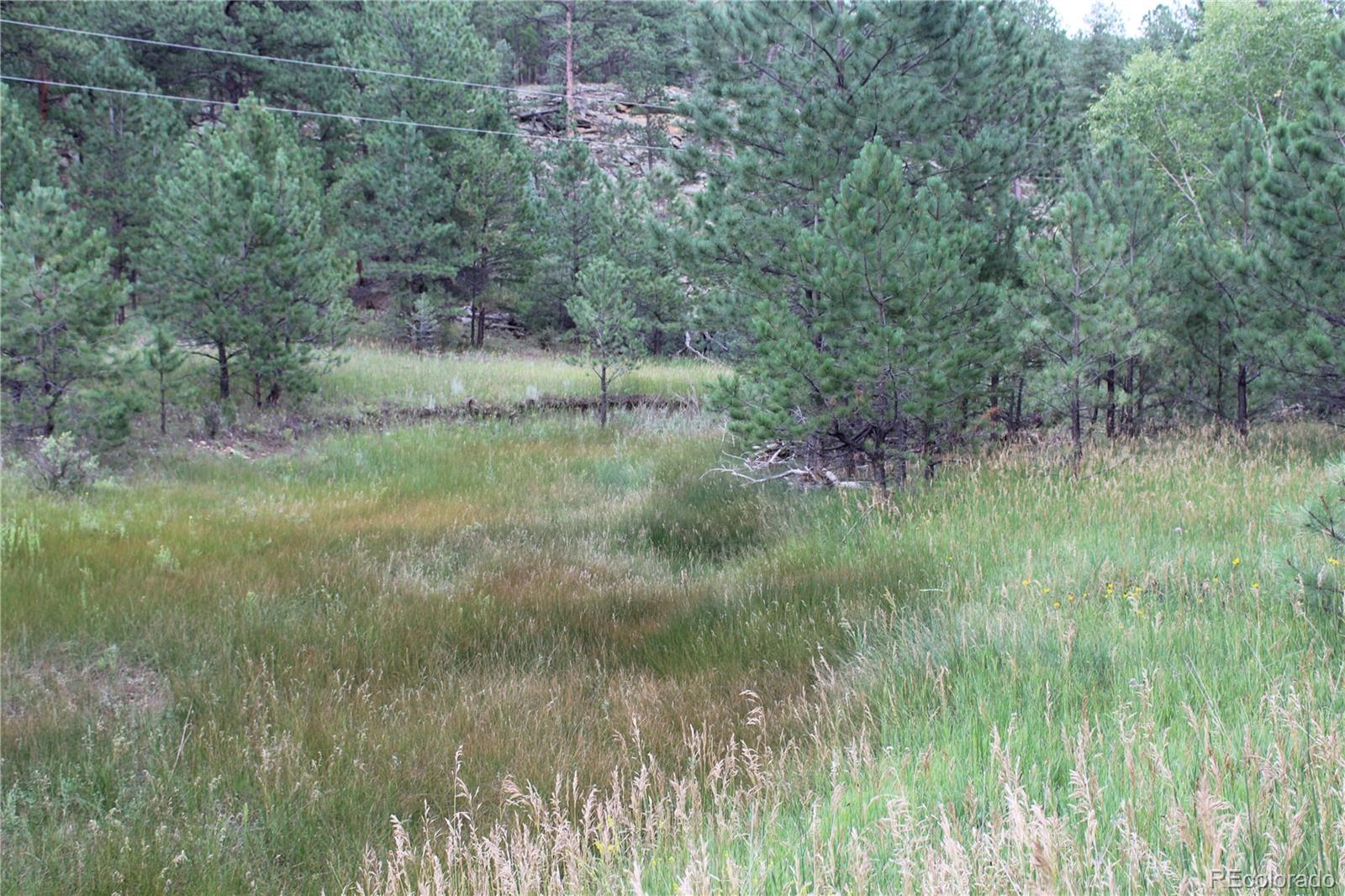 10725 Box Canyon Rd, Weston, CO 81091