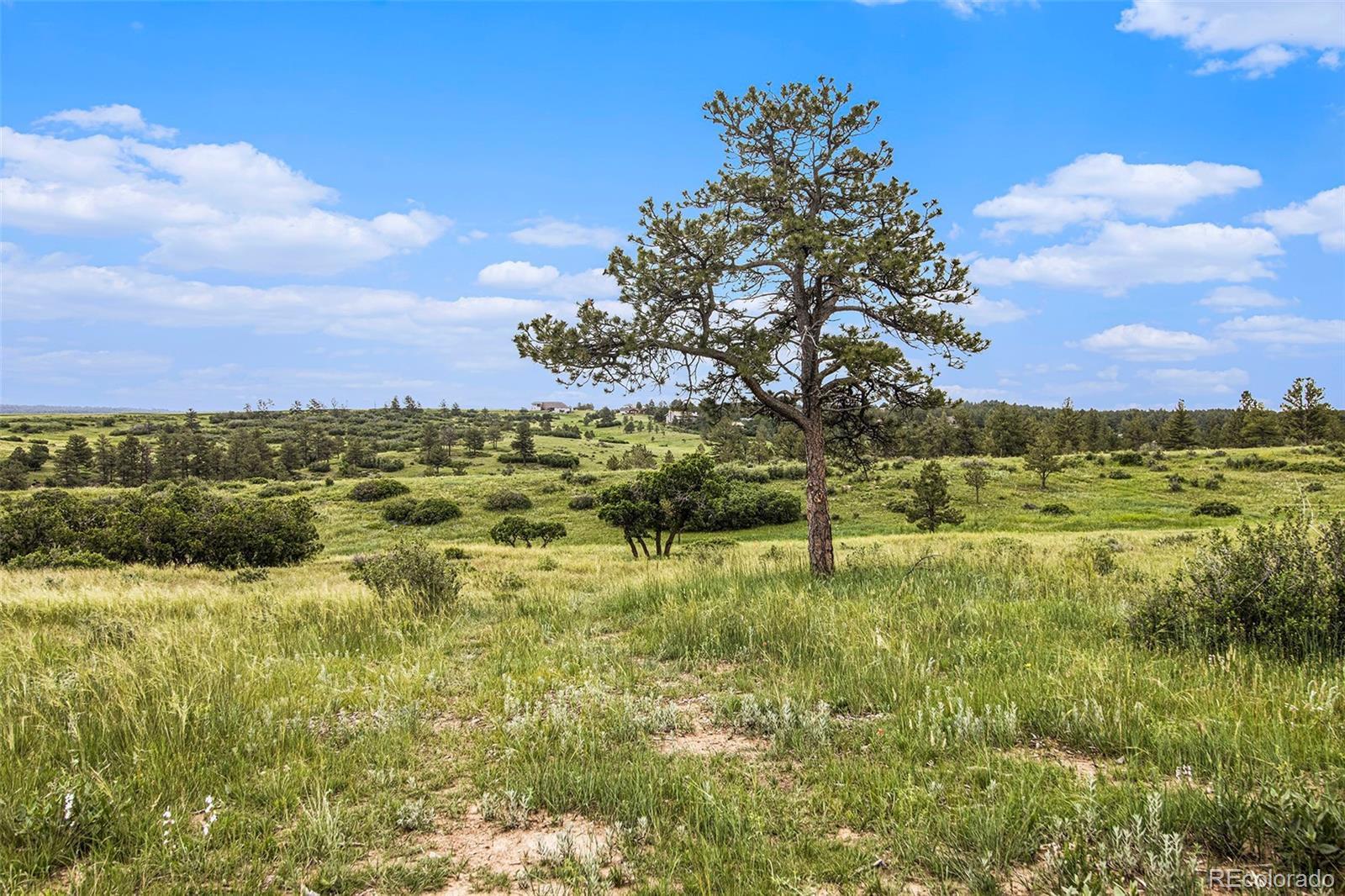 8654 Lost Lake Dr LOT 1, Franktown, CO 80116