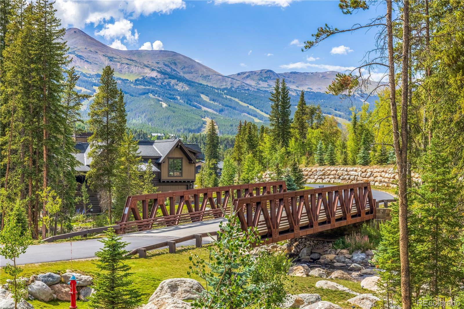 378 River Park Dr, Breckenridge, CO 80424