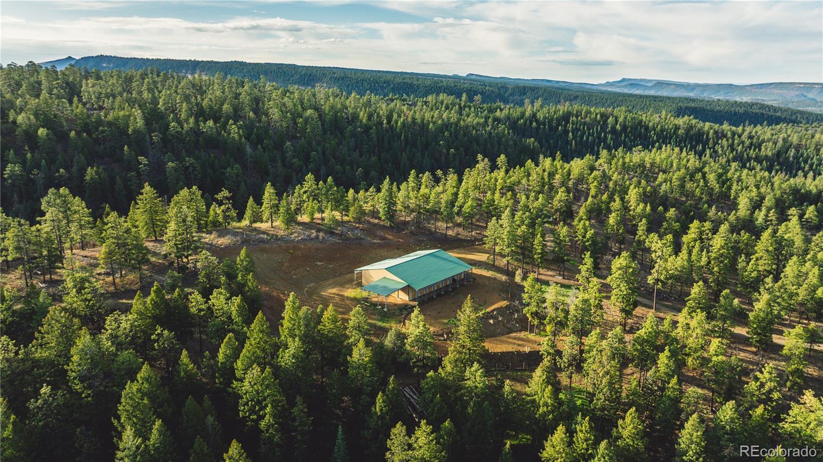 S Black Bear Pl, Pagosa Springs, CO 81147