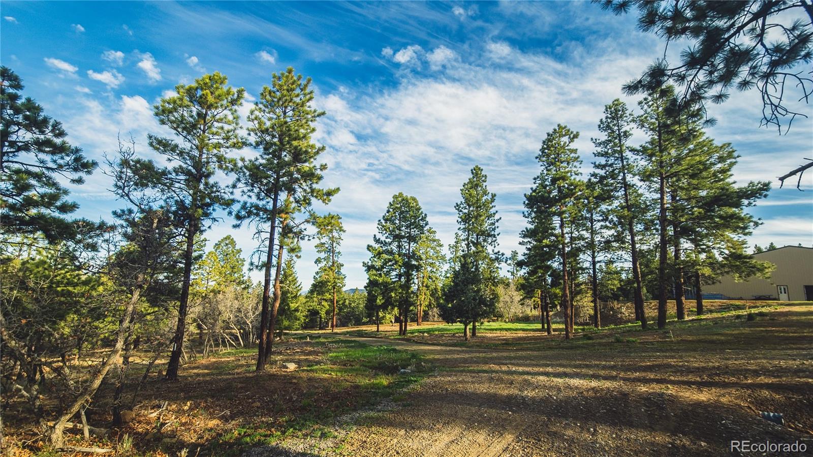 S Black Bear Pl, Pagosa Springs, CO 81147