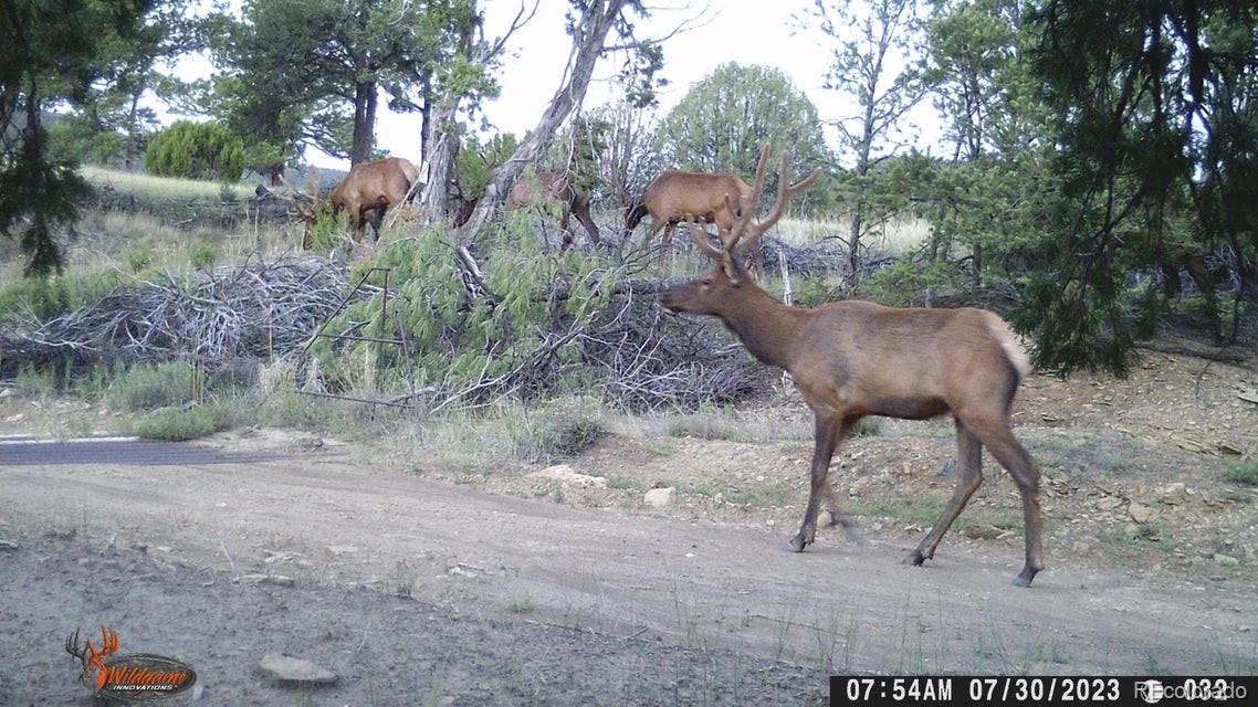 Co Rd 55 4, Trinidad, CO 81082