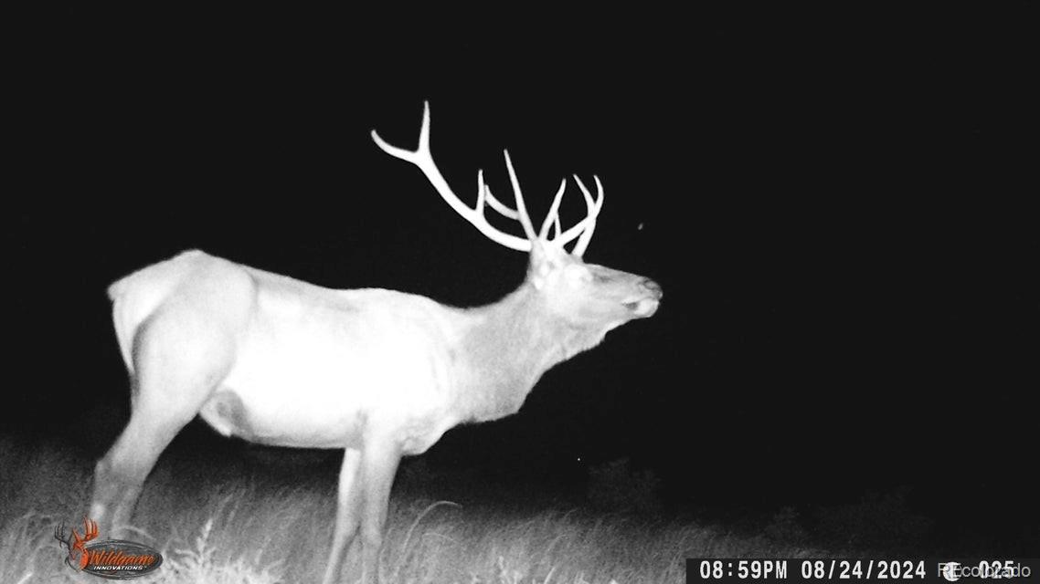 Co Rd 55 4, Trinidad, CO 81082