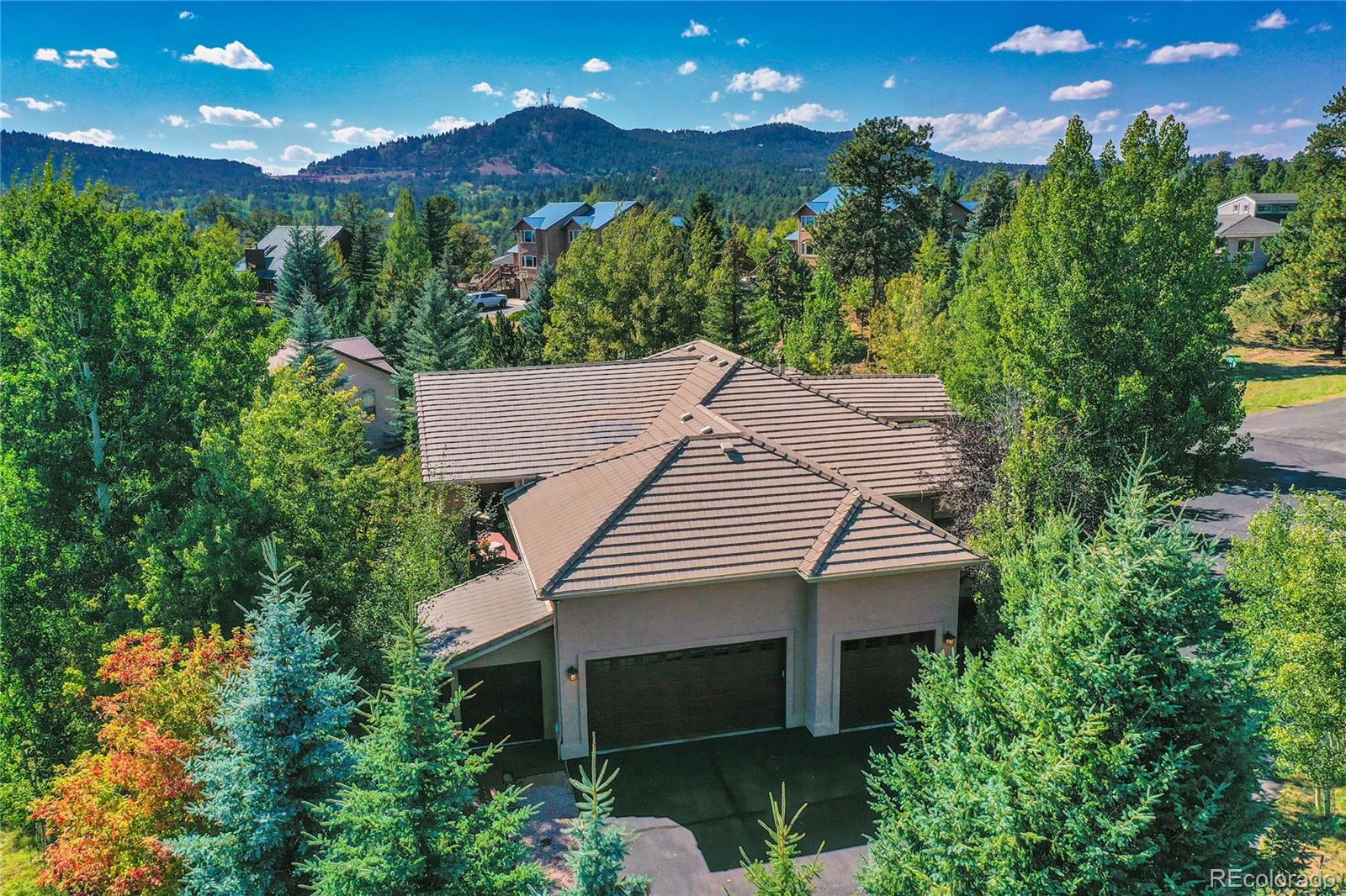1001 Ponderosa Way, Woodland Park, CO 80863