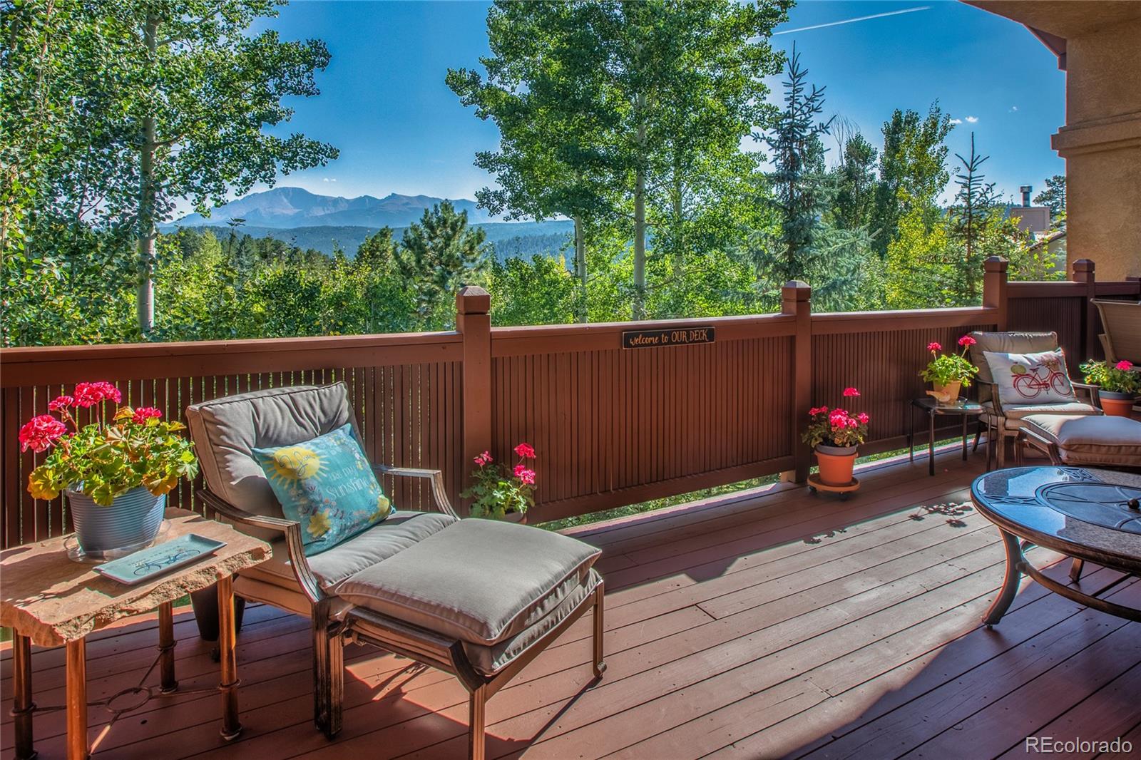 1001 Ponderosa Way, Woodland Park, CO 80863