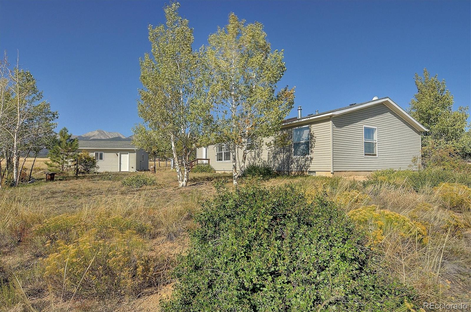 20333 Old Ranch Loop, Nathrop, CO 81236