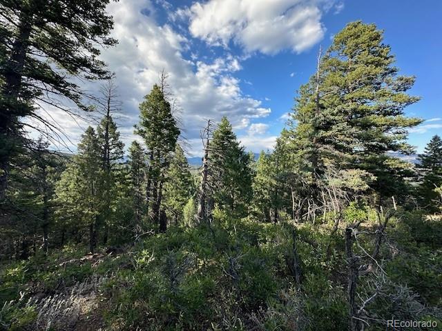 1 Forest Ln, Howard, CO 81233