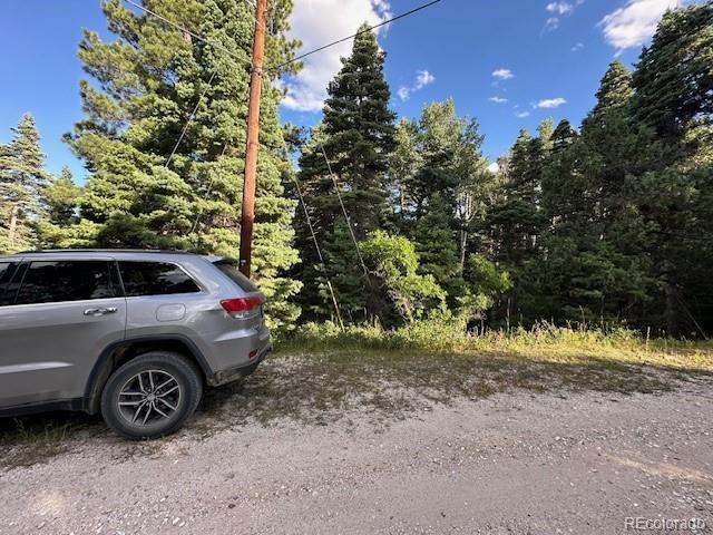 1 Forest Ln, Howard, CO 81233