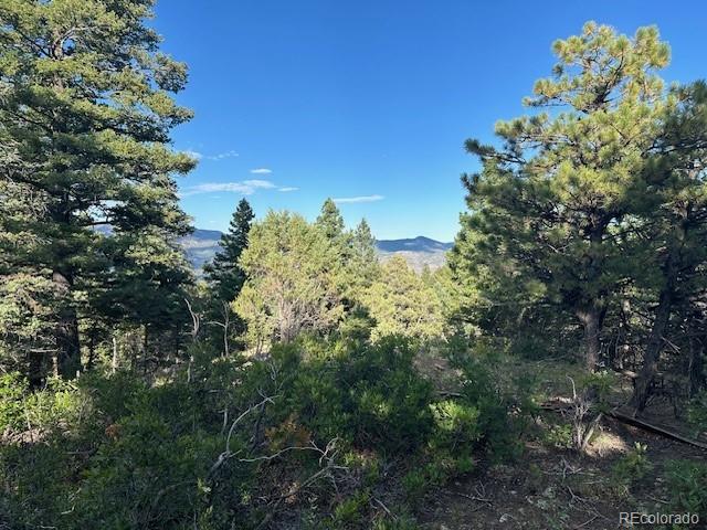 1 Forest Ln, Howard, CO 81233