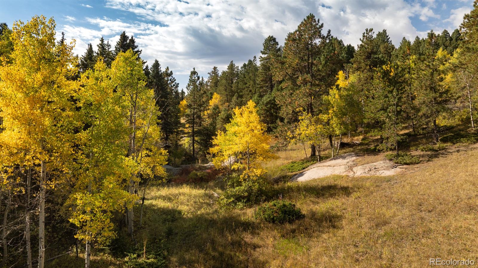 0 Rampart Range Rd, Sedalia, CO 80135