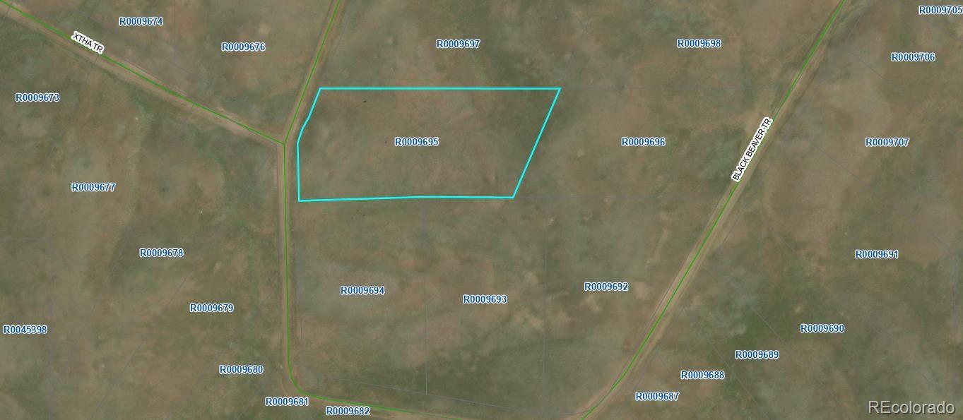 Black Beaver Trl, Hartsel, CO 80449
