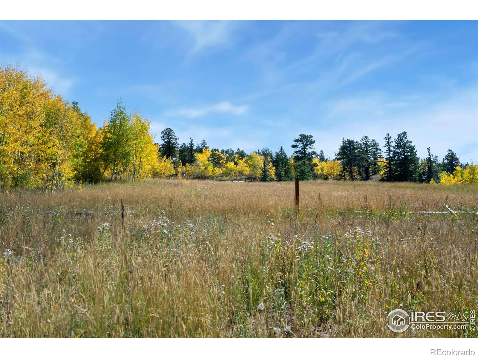 15 Pine Forest Way, Drake, CO 80515