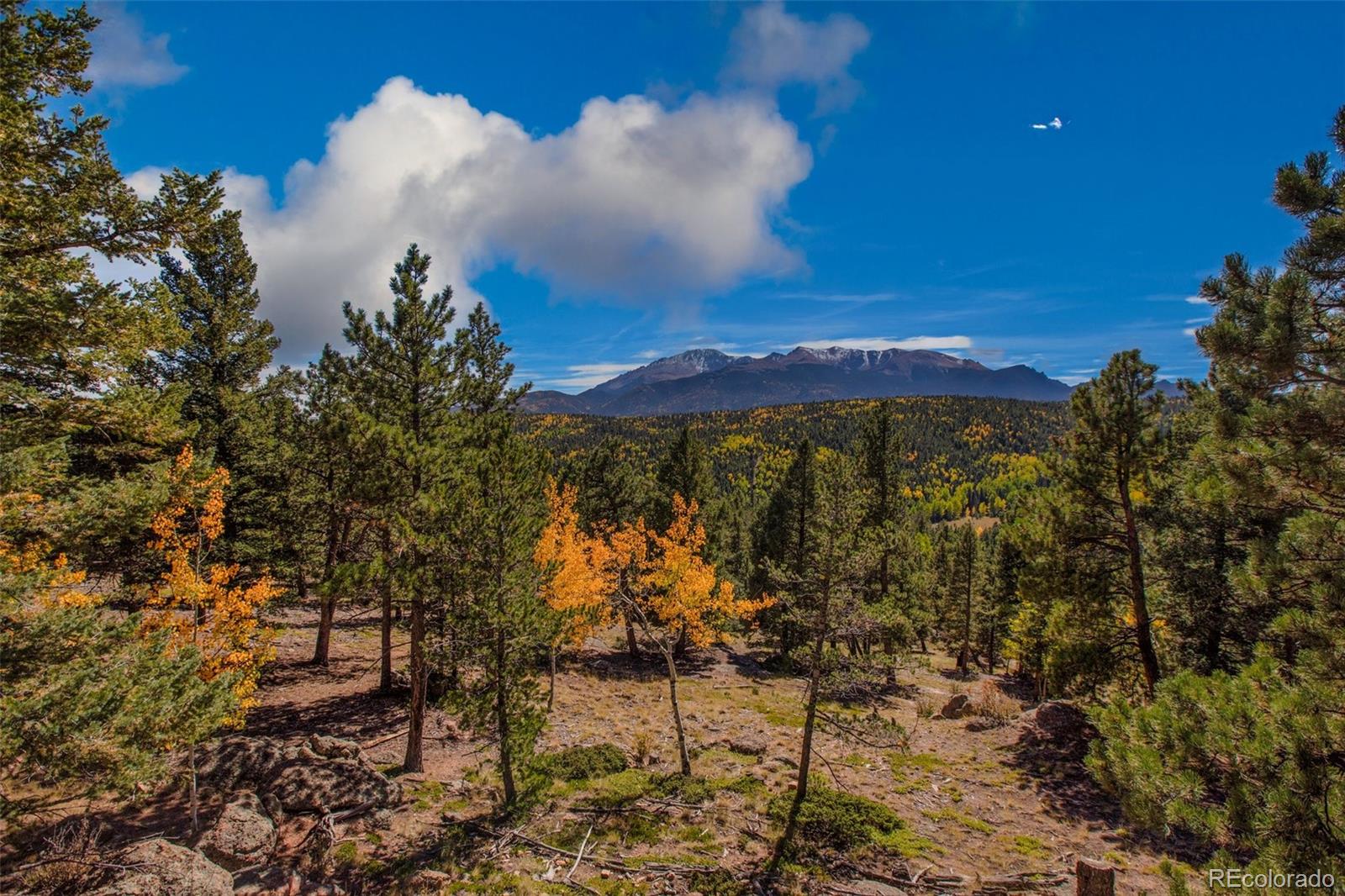 1200 Arapahoe St, Woodland Park, CO 80863