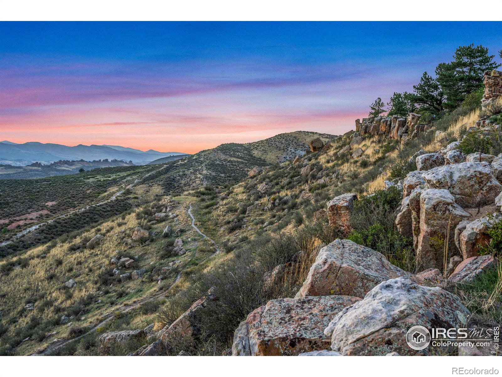 1701 Fire Rock Ct, Loveland, CO 80538
