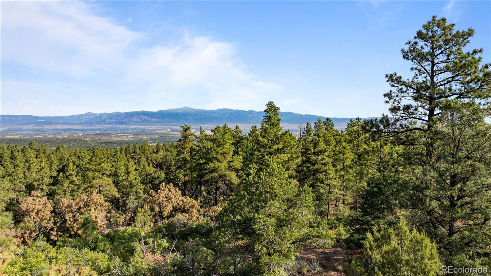 Twin Creek Rd, Florence, CO 81226