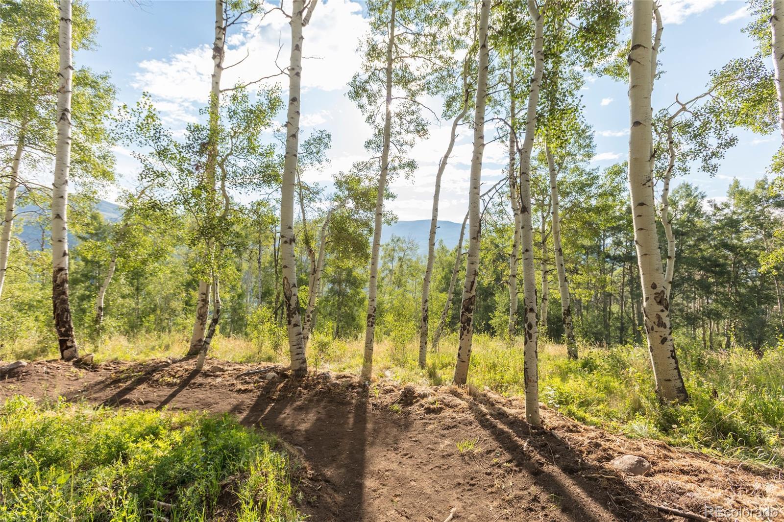 148 Youngs Preserve Rd, Silverthorne, CO 80498