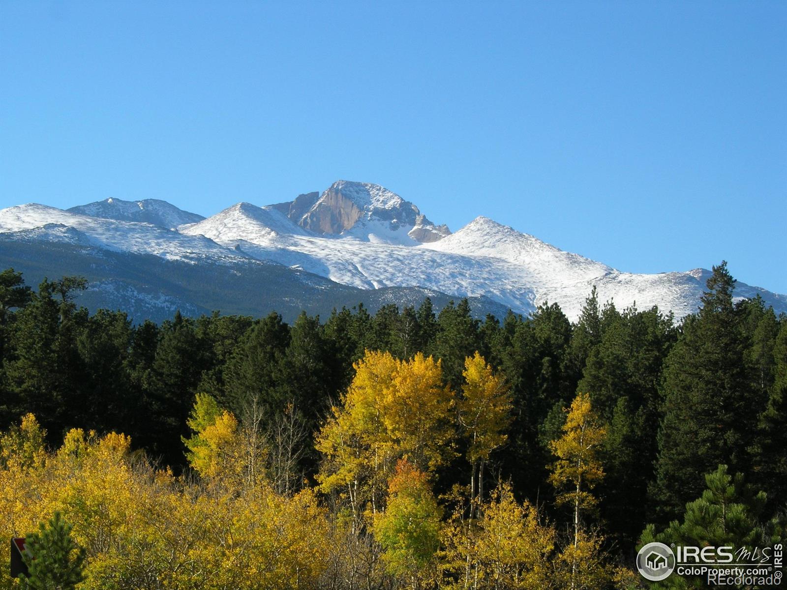 1565 Highway 66 #4, Estes Park, CO 80517
