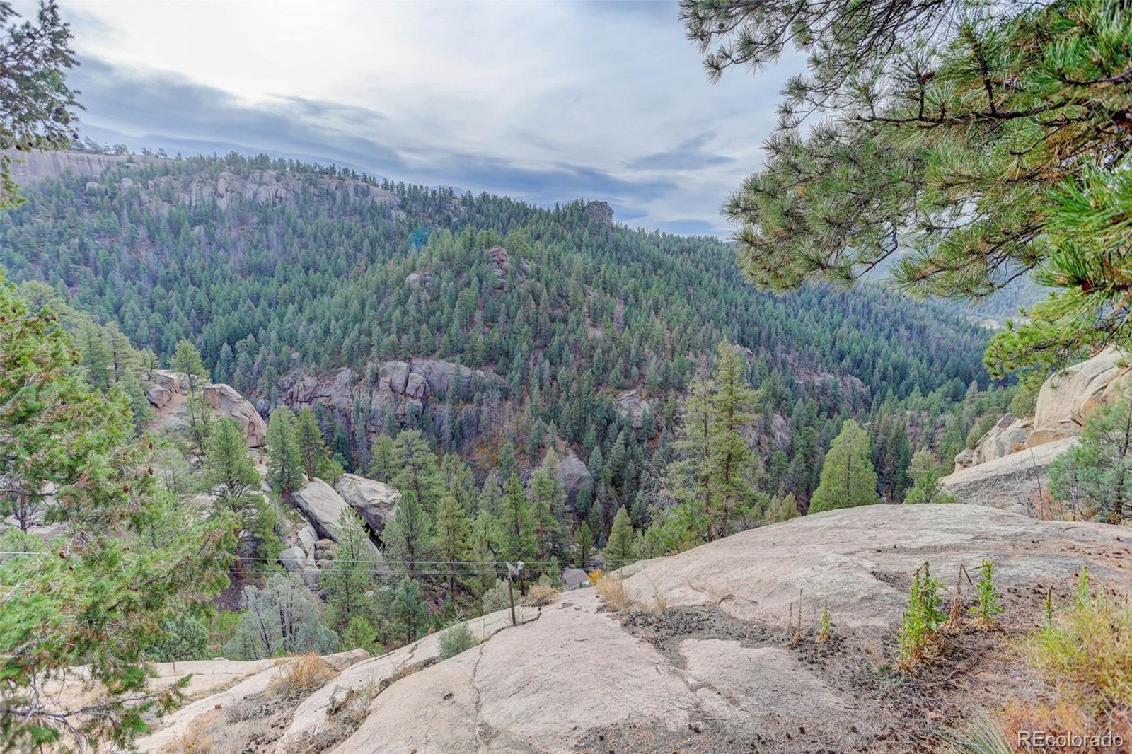 16048 Old Stagecoach Rd, Pine, CO 80470