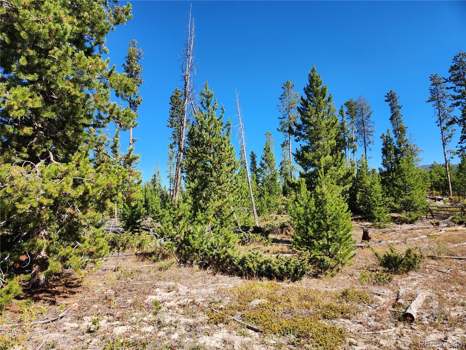 37 Cr 4628 Lot 30, Grand Lake, CO 80447