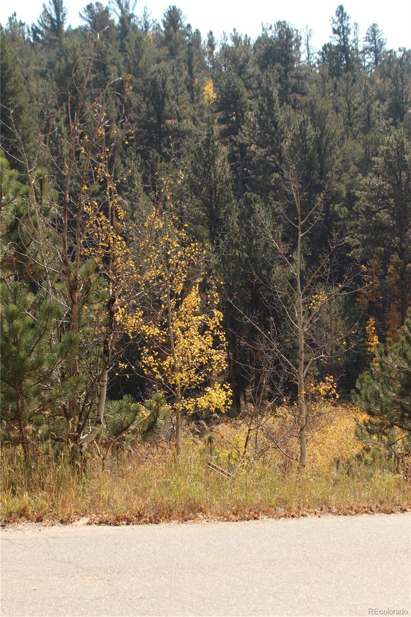 2020 Shelton Dr, Bailey, CO 80421
