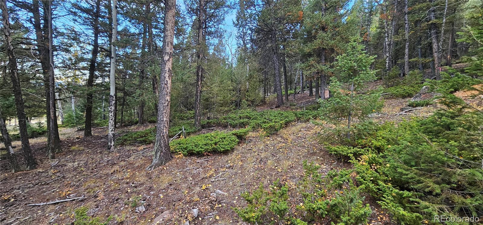 54 Garnet Ln Lot 6, Pine, CO 80470