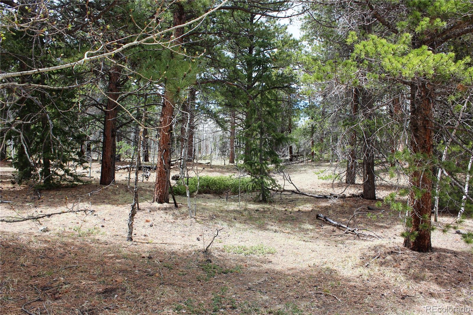 Lot 10 Pinon Cir Lot 10, Black Hawk, CO 80422
