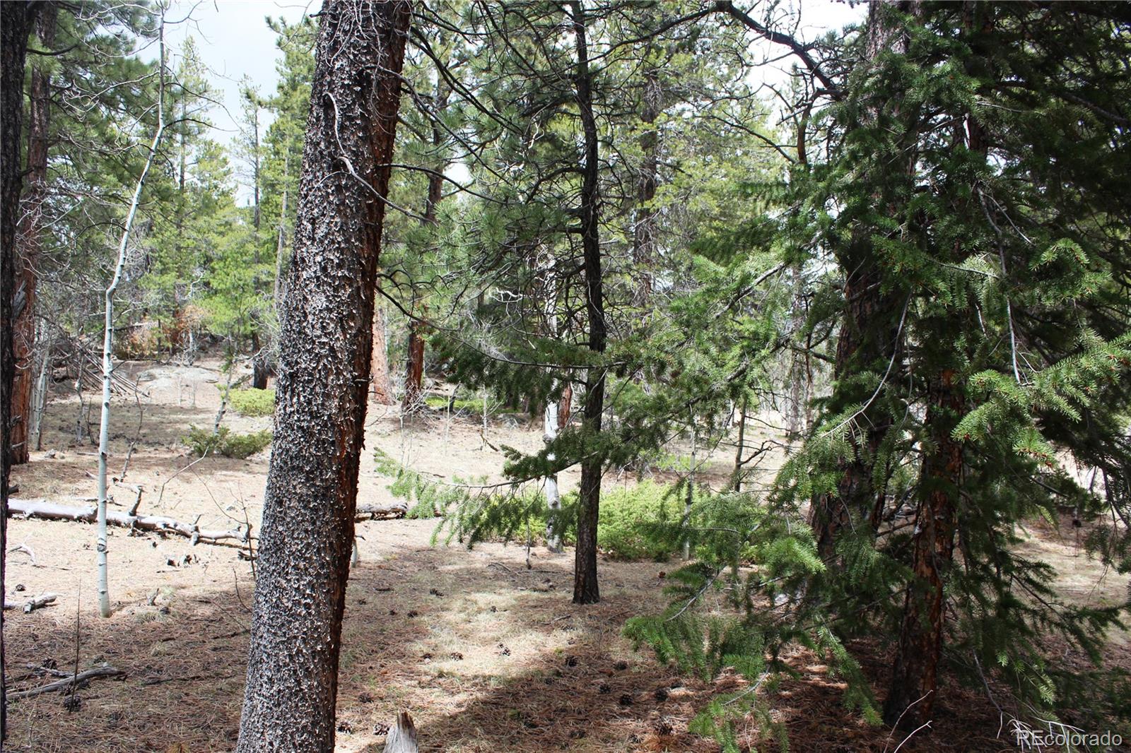 Lot 10 Pinon Cir Lot 10, Black Hawk, CO 80422