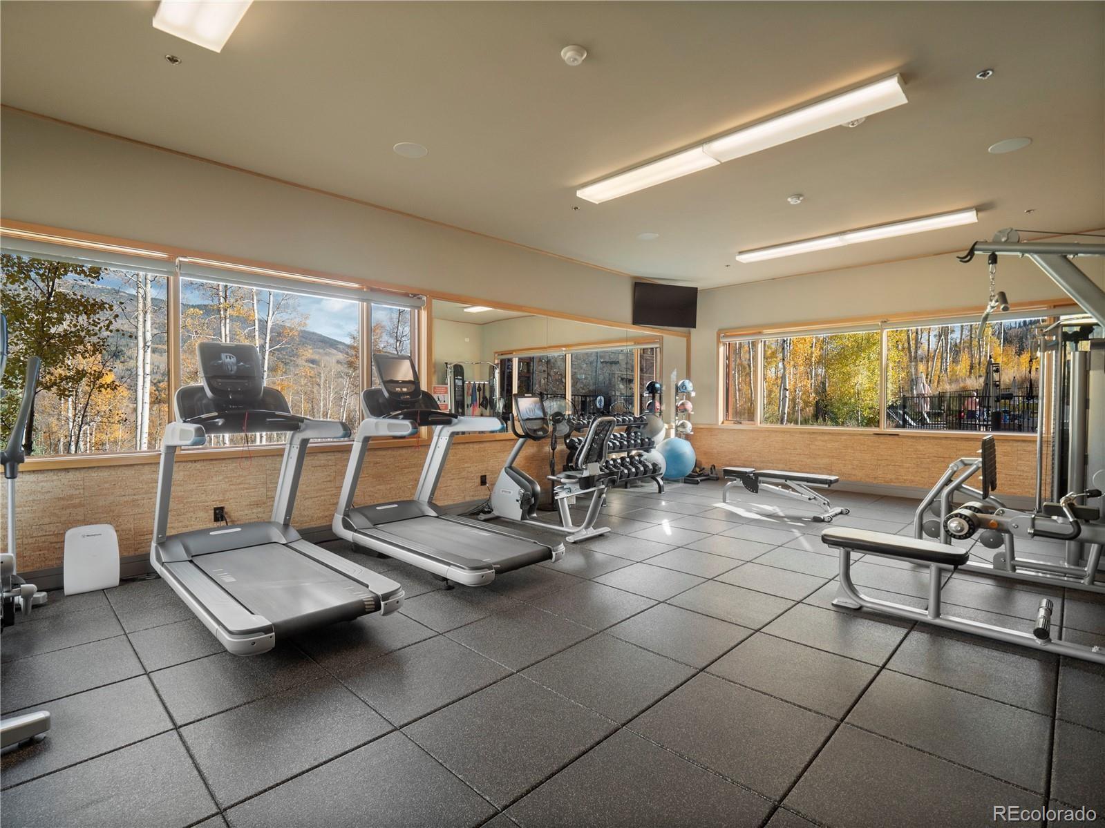 90 Glazer Trl, Silverthorne, CO 80498