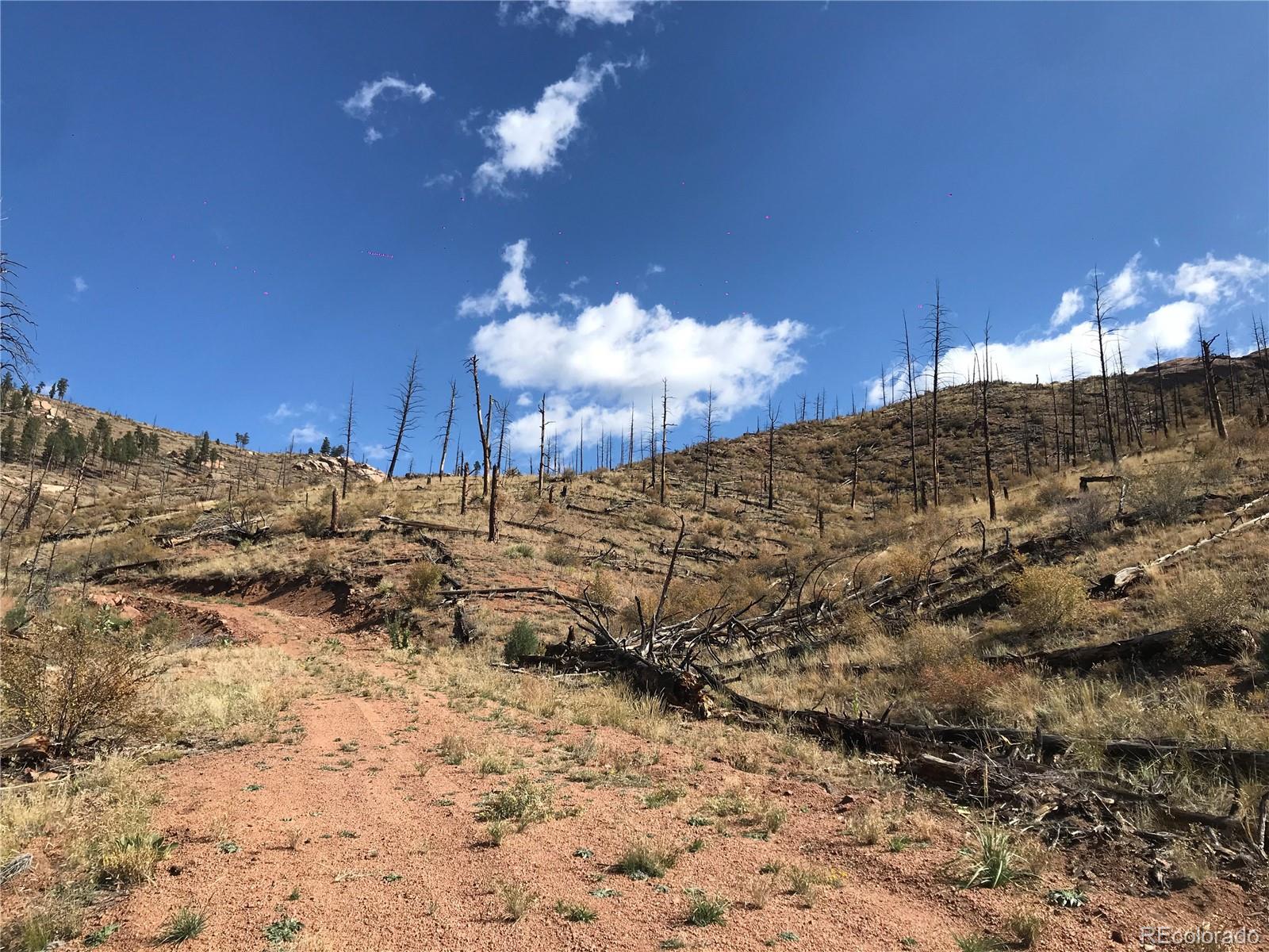 0 Cochise Trl, Pine, CO 80470