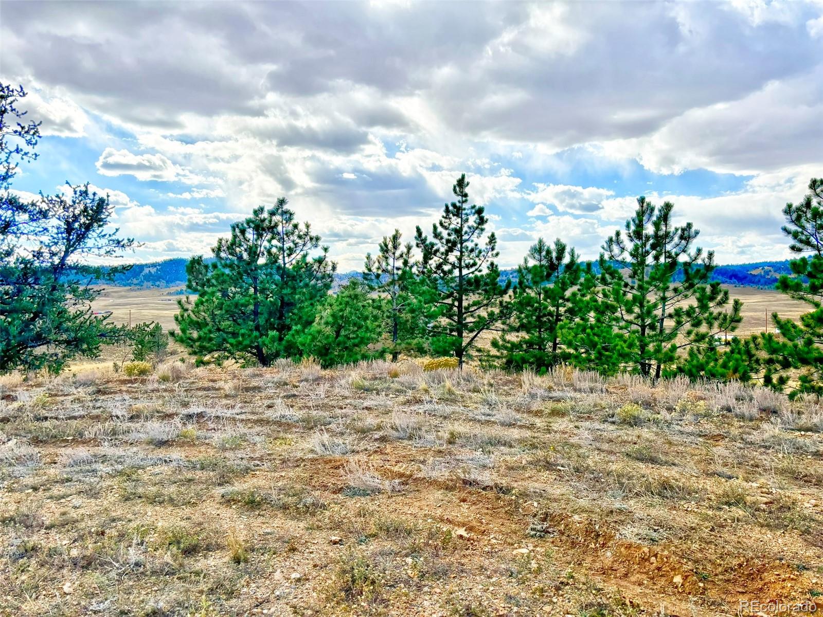 115 Black Canyon Ct, Hartsel, CO 80449