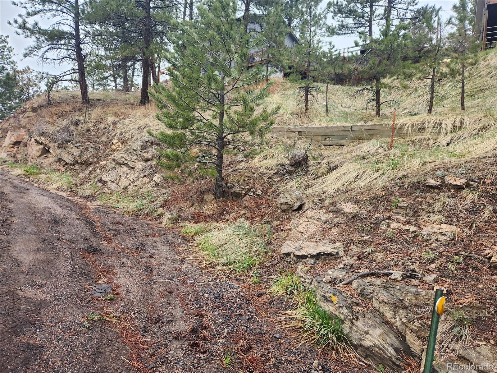 000 Forest Hill Rd, Evergreen, CO 80439