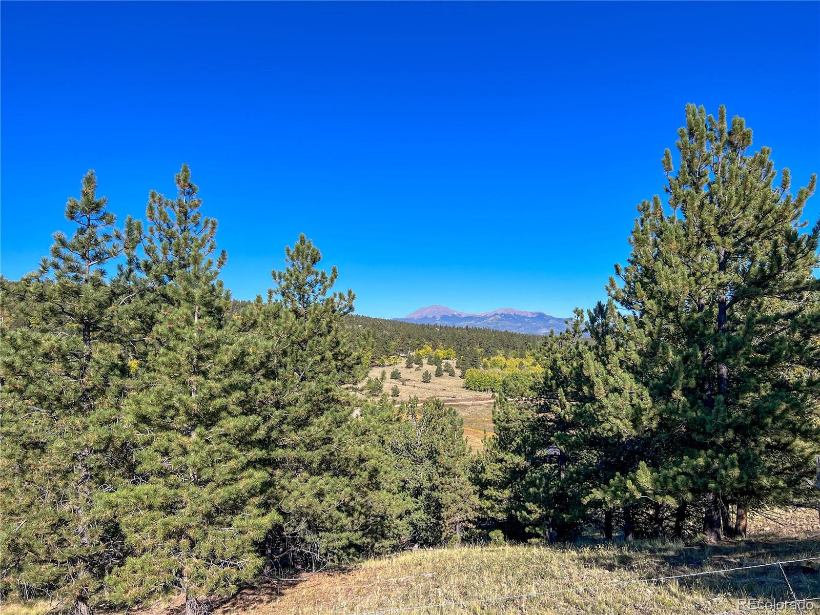 539 Tapedero Rd Lot 600, Hartsel, CO 80449