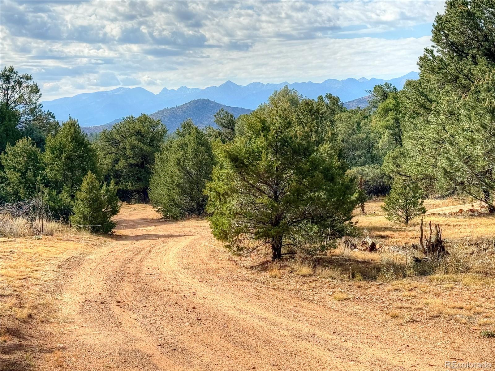 1525 L Pa, Texas Creek, CO 81223