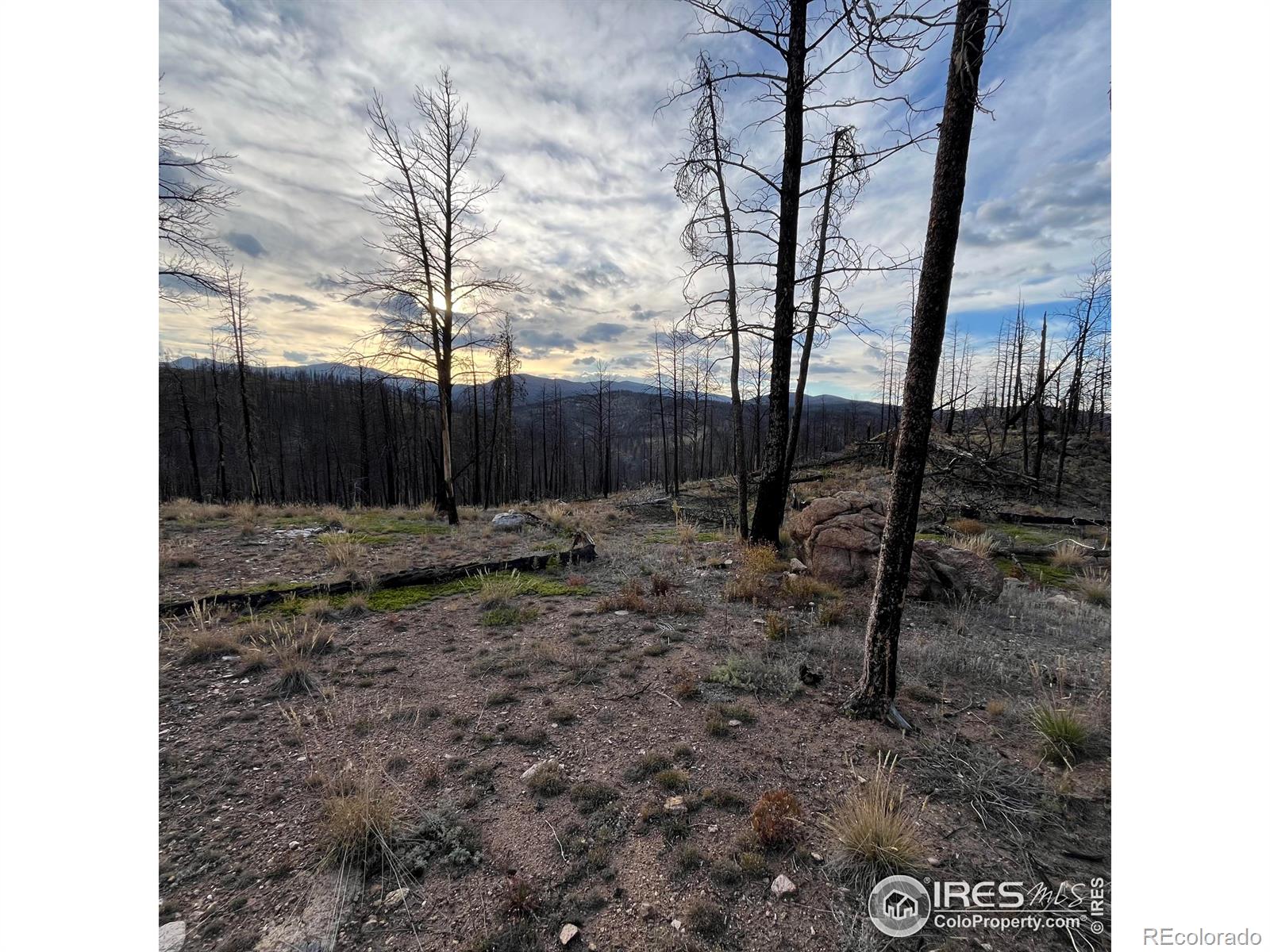 11 Monument Gulch Way, Bellvue, CO 80512