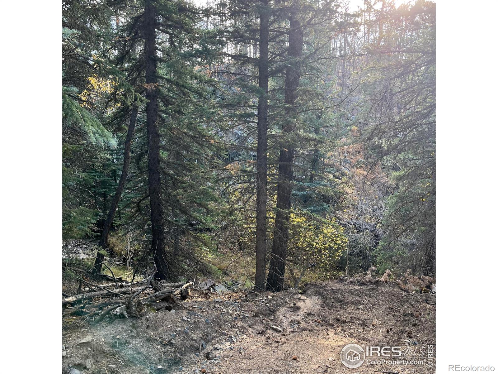 11 Monument Gulch Way, Bellvue, CO 80512