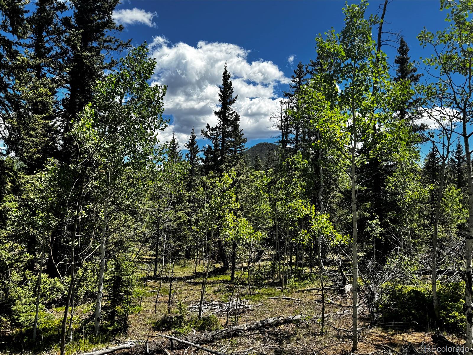 585 Haida Ln Lot 34, Como, CO 80456