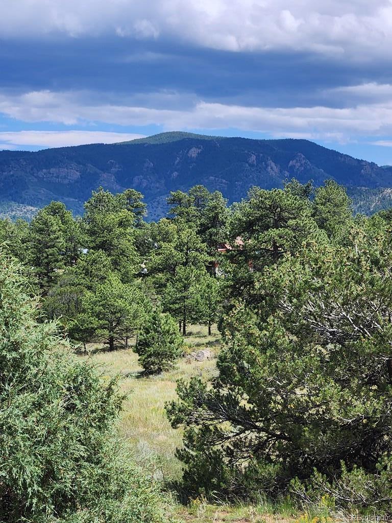 15 Arroyo Ave Lot 12, Silver Cliff, CO 81252