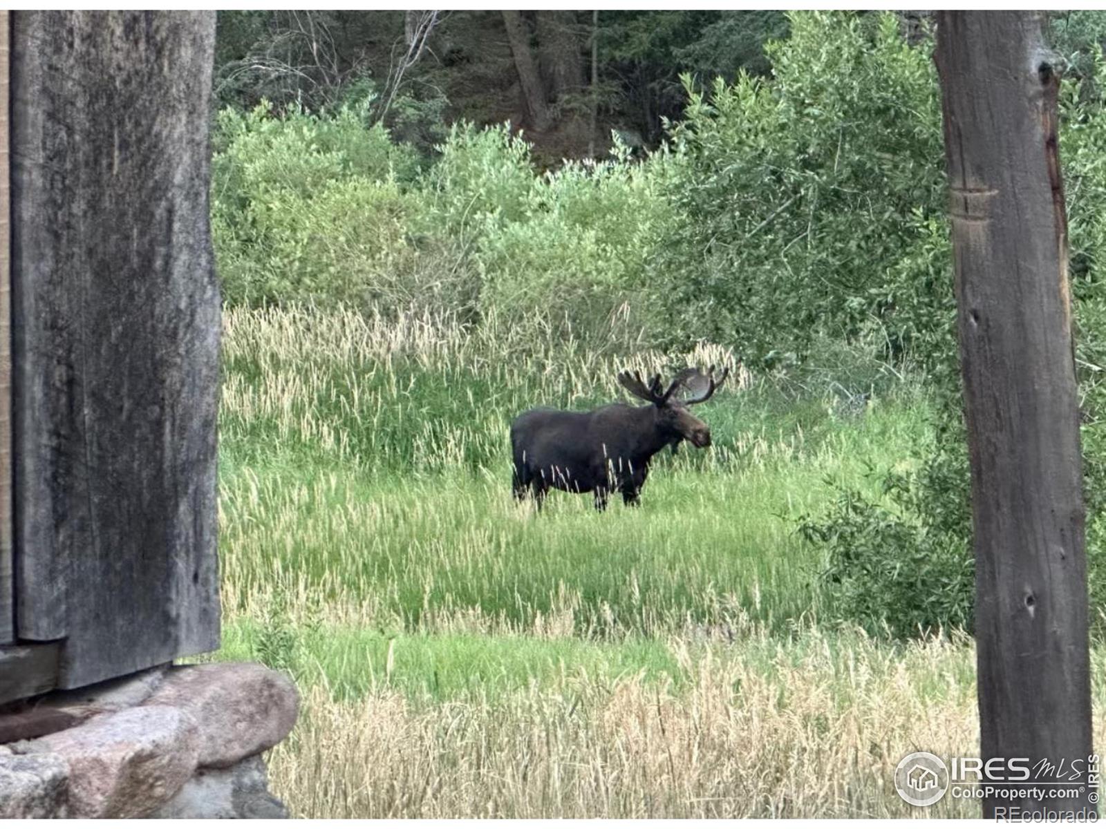 9648 E Highway 36, Lyons, CO 80540
